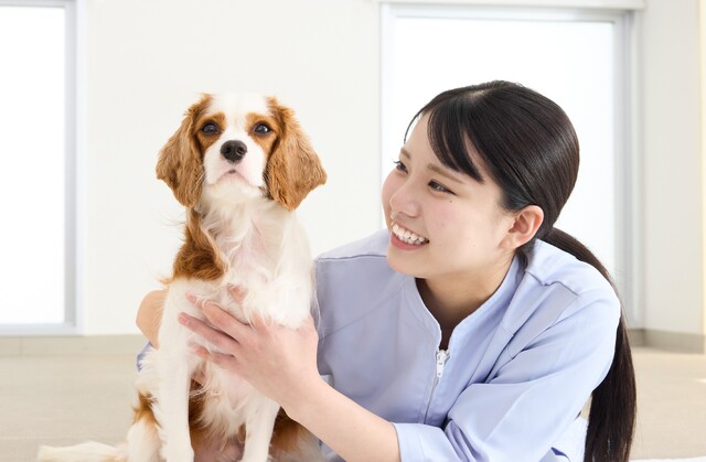 大阪ぺピイ動物看護専門学校